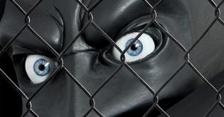 foto dell'evento Adrian Tranquilli: All is violent. All is bright
