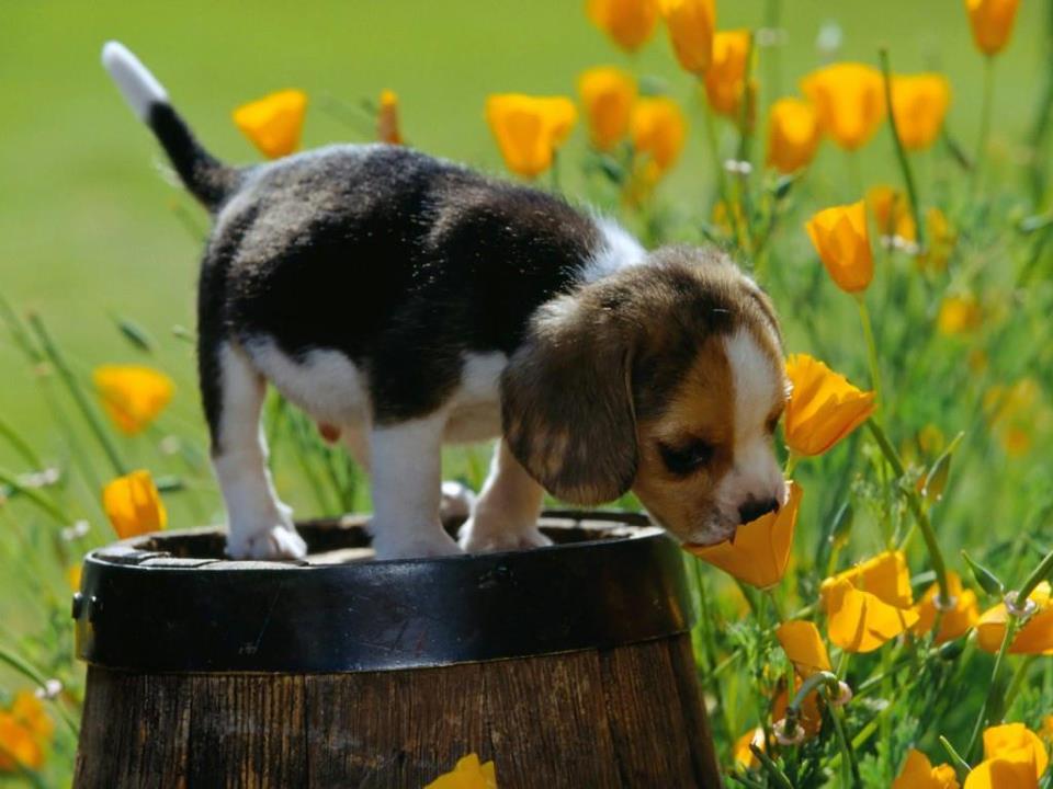 GIOVEDIAMOCI DI PRIMAVERA