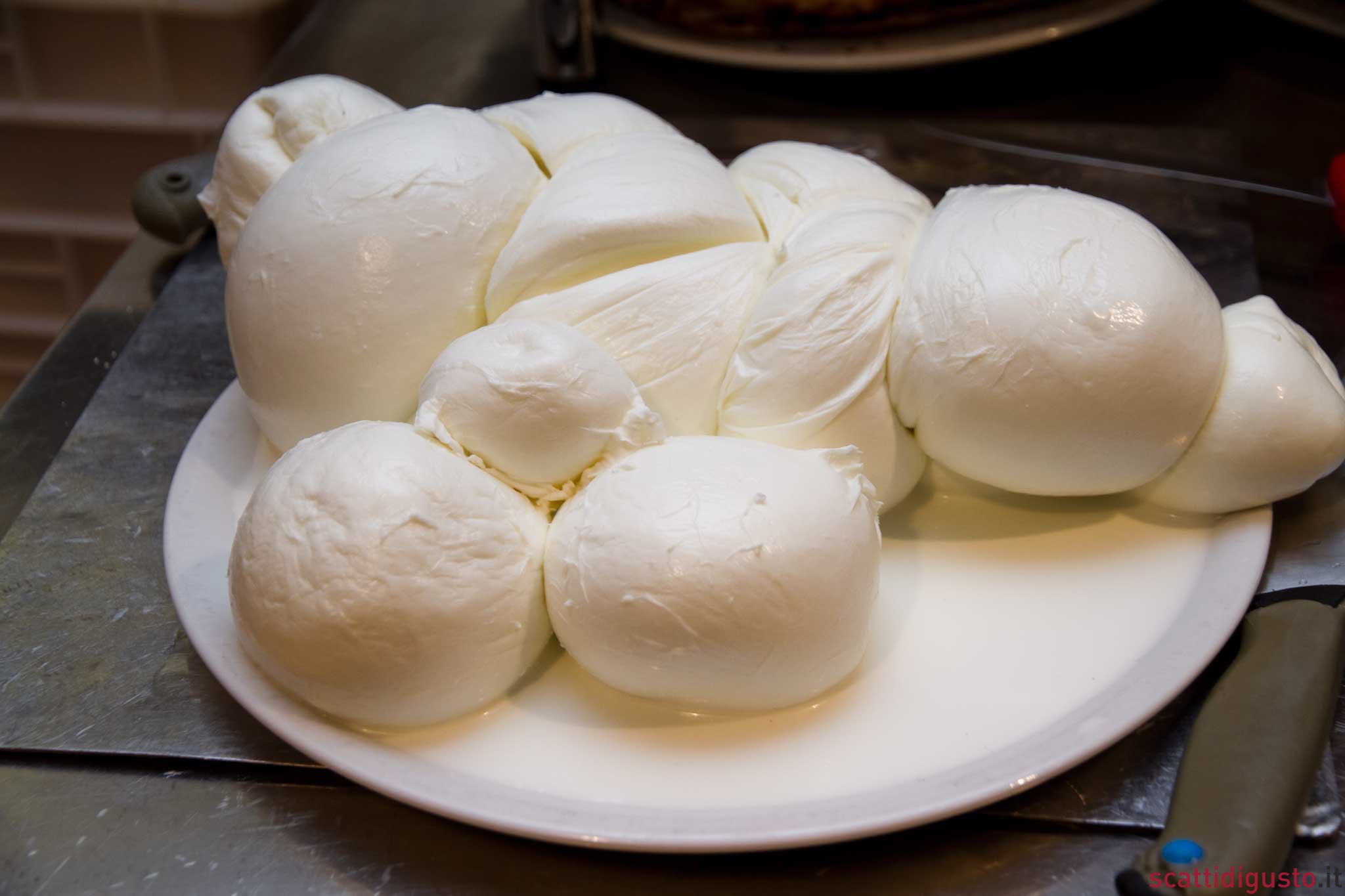 MOZZARELLA DI BUFALA