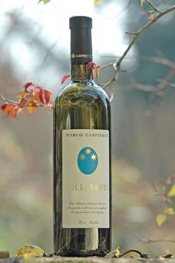 DEGUSTAZIONE VINI 