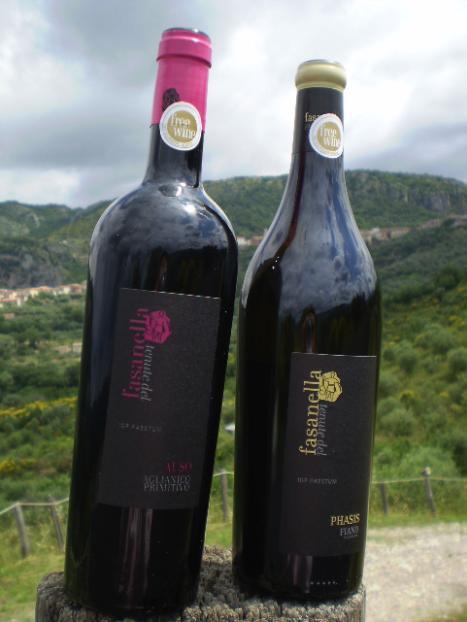 Degustazione con vini delle Tenute del Fasanella