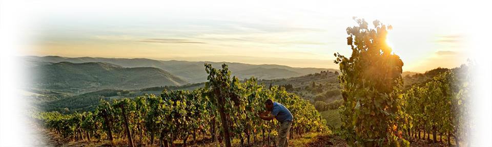 Degustazione Chianti a Roma