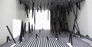 Esther Stocker: Destino Comune