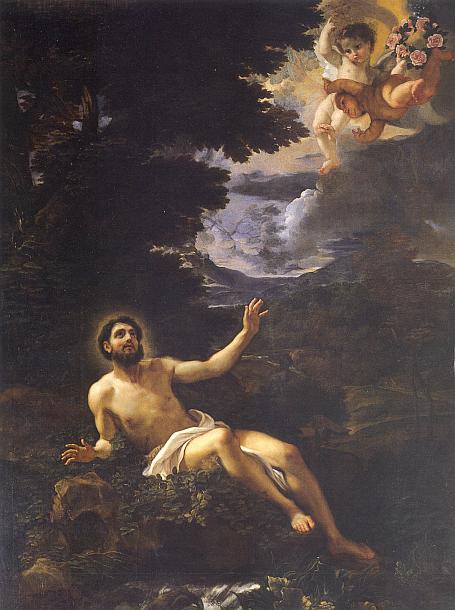 MERAVIGLIE DAL PALAZZO