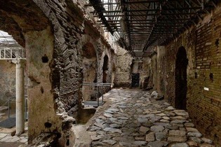 Visita alla Crypta Balbi e Brunch enogastronomico